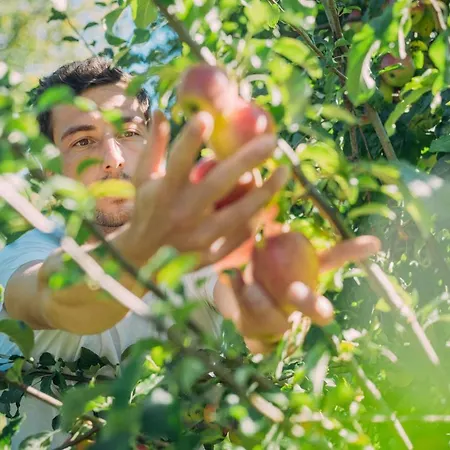 Hotel Landgasthof Keller 3*