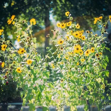 Hotel Landgasthof Keller Uberlingen