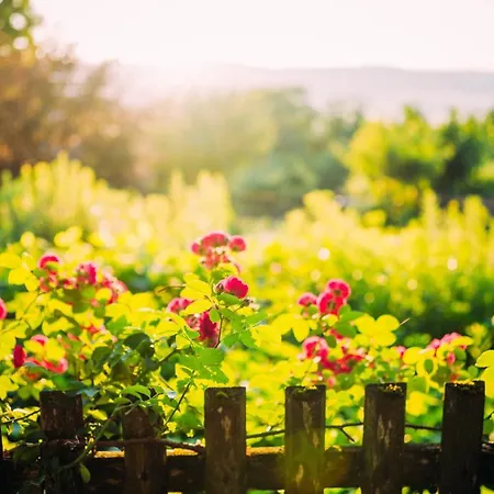 Landgasthof Keller 3*