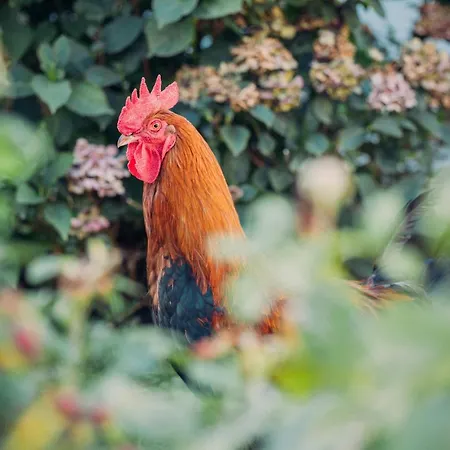 Landgasthof Keller Hotel Uberlingen