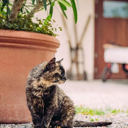 Landgasthof Keller Hotel 3*