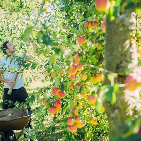 Landgasthof Keller 3*