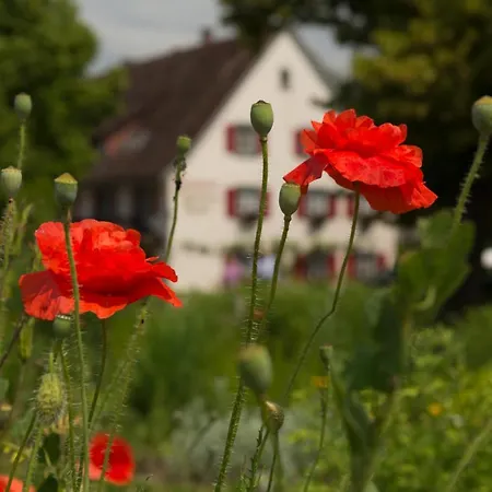 Hotel Landgasthof Keller 3*