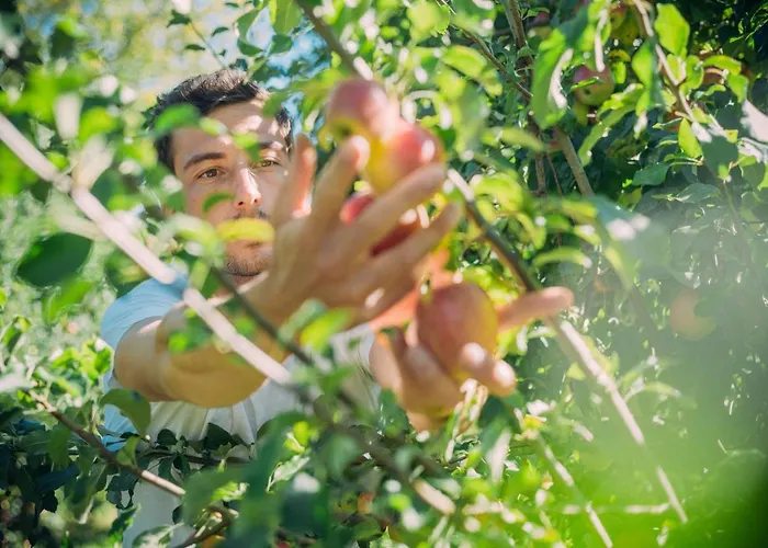 Hotel Landgasthof Keller 3*