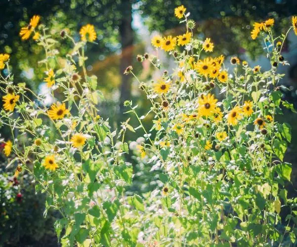 Hotel Landgasthof Keller Uberlingen