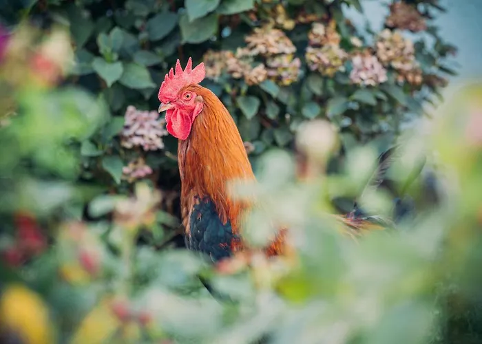 Landgasthof Keller Hotel Uberlingen