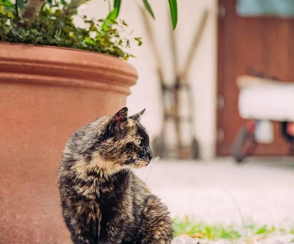 Landgasthof Keller Hotel 3*