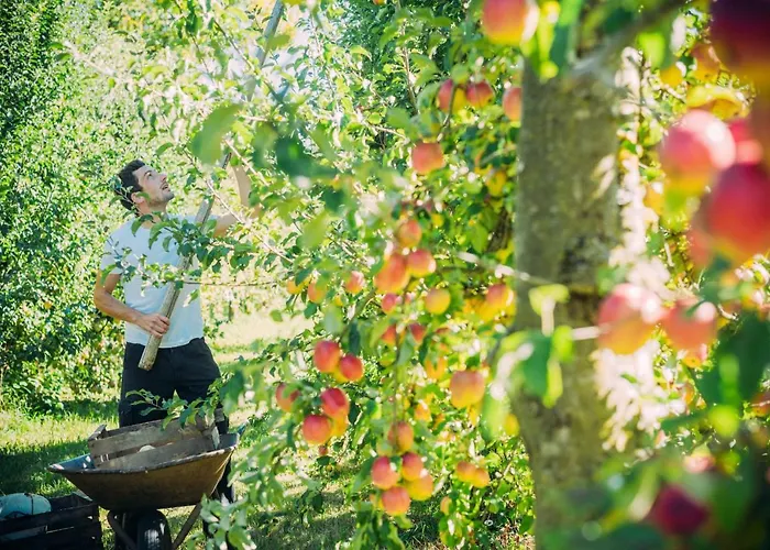 Landgasthof Keller 3*