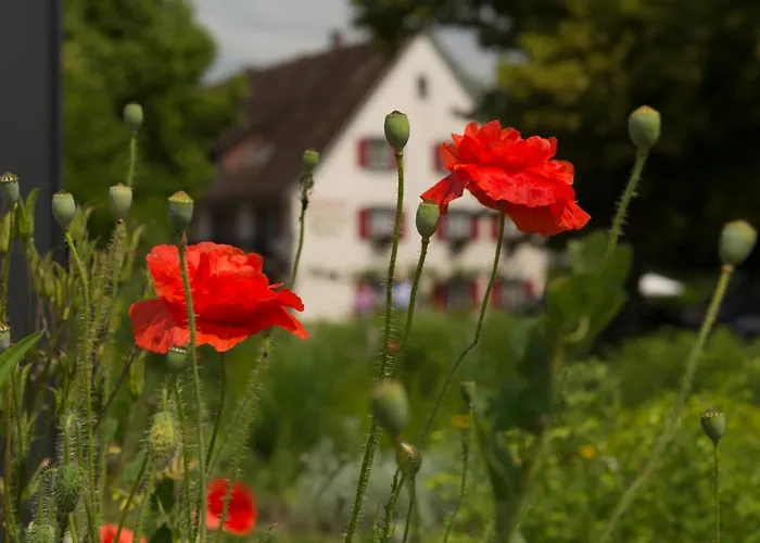 Hotel Landgasthof Keller 3*